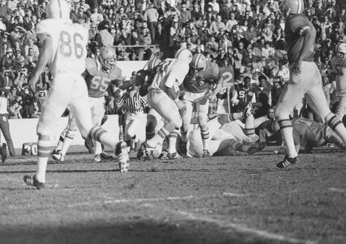 Field level view of Pig Bowl