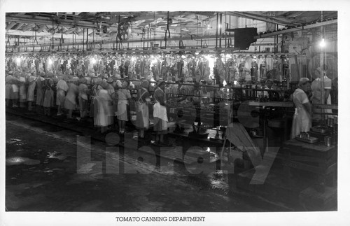 Women Preparing Tomatoes for Canning