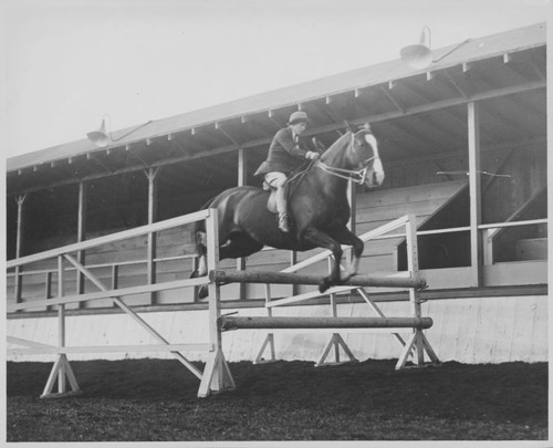 Hagginwood Riding Ring