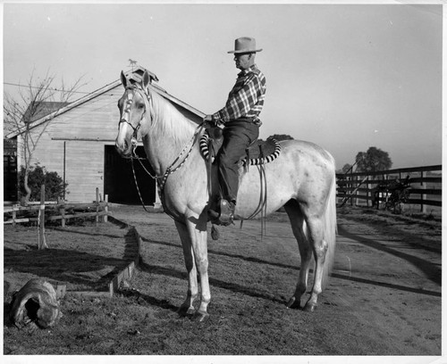 Man on a Horse