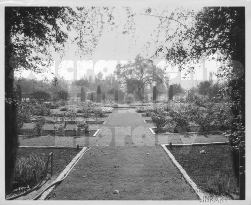 Rose Garden at William Land Park