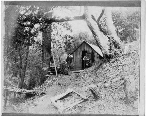 Three men, one woman by mountain cabin