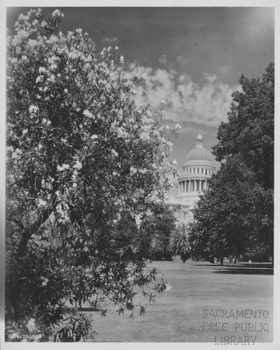 California State Capitol from the California State Park