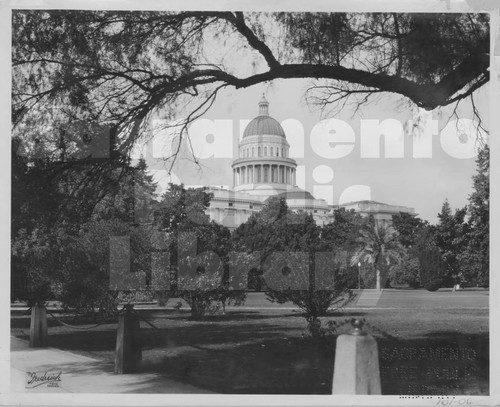 The Capitol in Capitol Park