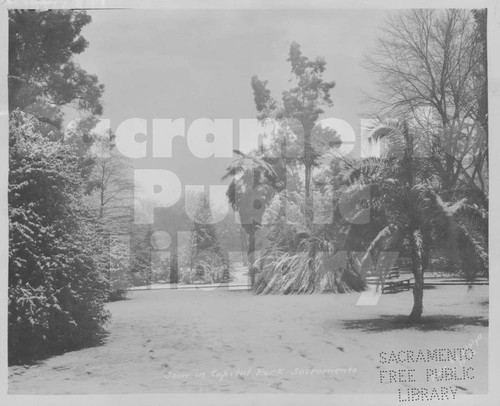 Snow on Capitol Park, 1922