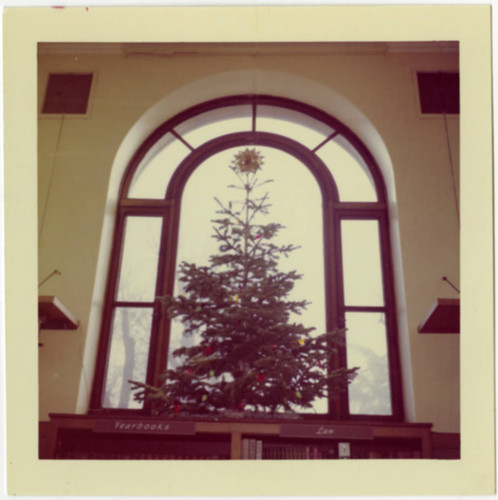 Christmas Tree Perched Over Reading Room