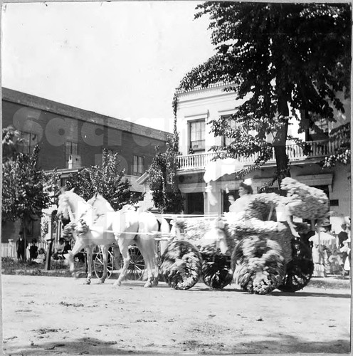 Street Fair, 1902