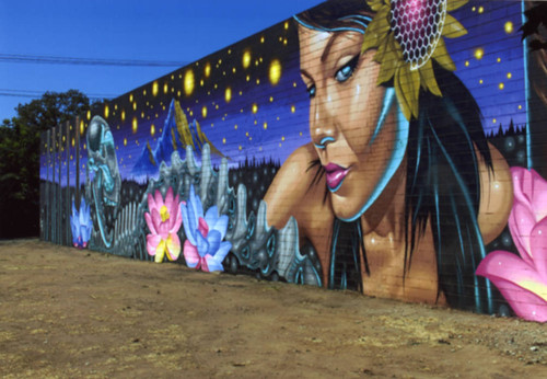 Sacramento Mural