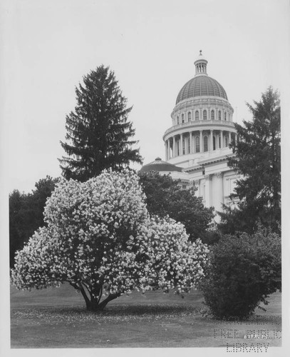 Capitol Park