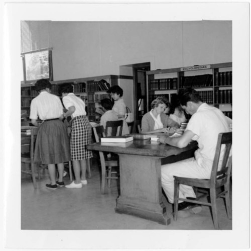 Students Studying at Main Library