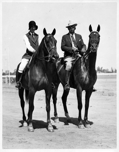 Man and woman on show horses