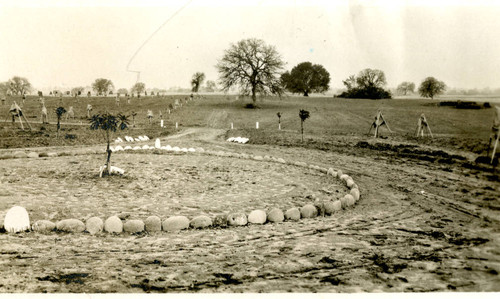 Carmichael Driveway