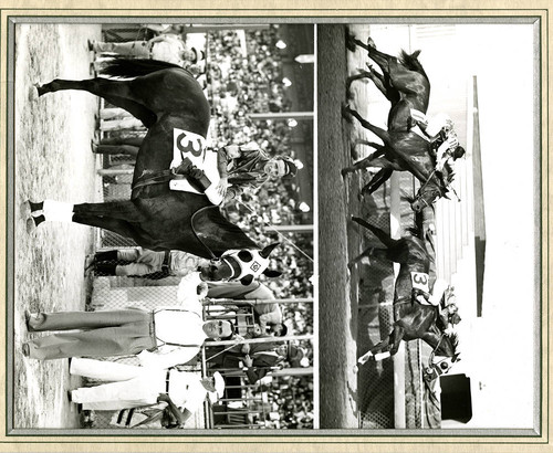 Horseracing at Fairgrounds