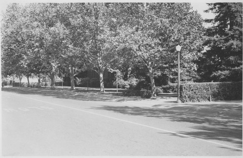 Crocker School, Land Park