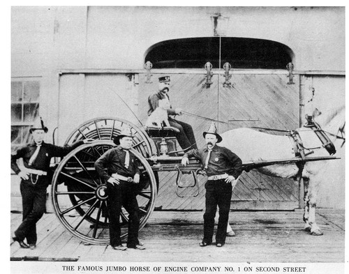 The Famous Jumbo Horse of Engine Company No. 1 on Second Street