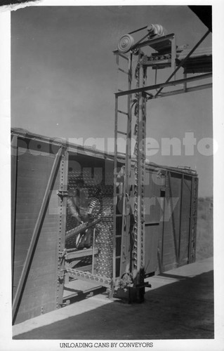 Unloading Cans at the Bercut Richards Packing Company