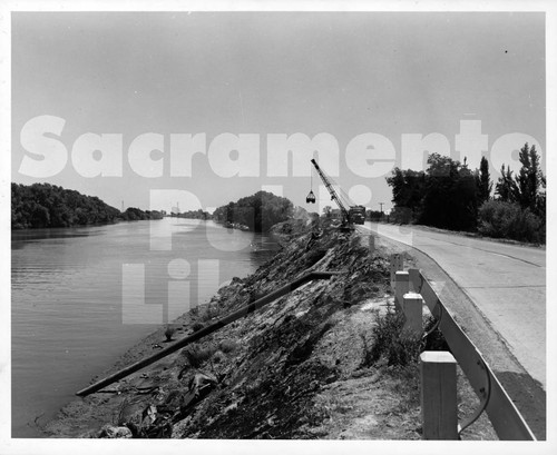 Sacramento River Levee near Sutter Island