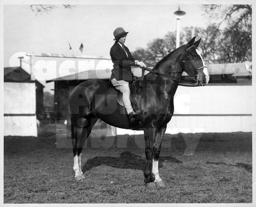 Woman on a Horse