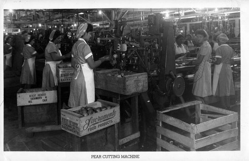 Bercut-Richards Packing Company Pear Cutting Machines