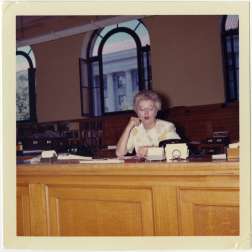 Librarian at Reference Desk