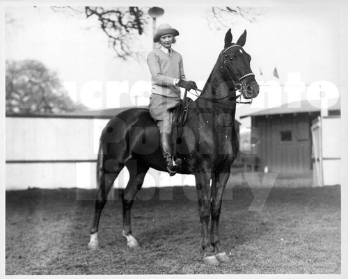 Woman on an American Saddlebred