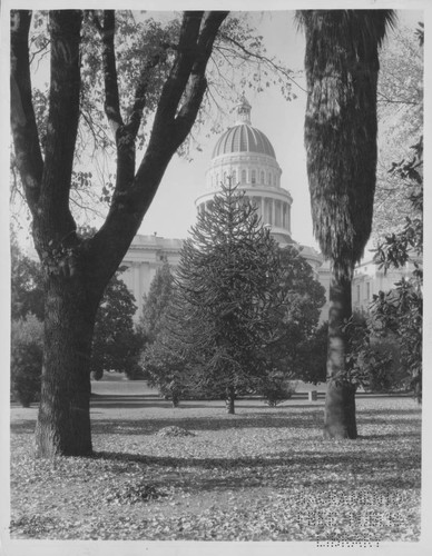 California State Capitol from the East