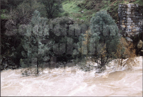 American River near Folsom