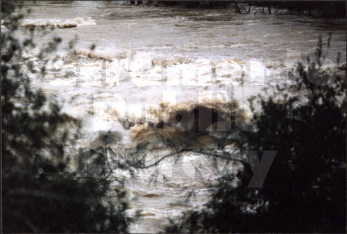 American River near Folsom