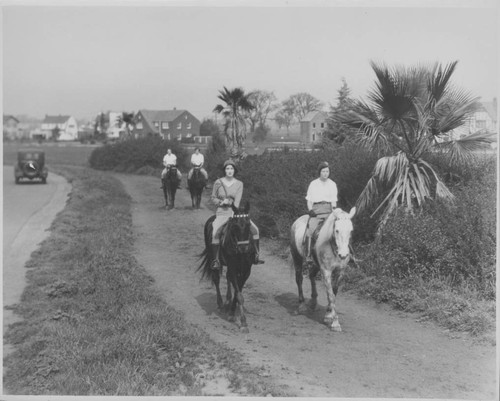 Bridle Trail at William Land Park with Residences in Background