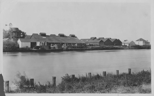 Golden State Asparagus Co. warehouses, Sacramento River at Ryde, California