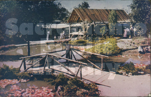 California Exposition, Sacramento, Cal. - Mike Roberts Studio