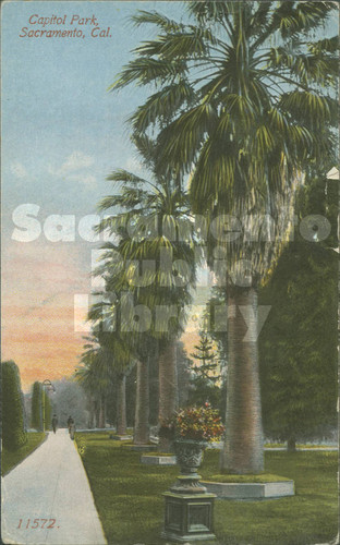 Capitol Park, Sacramento, Cal