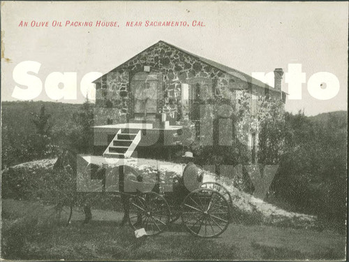 An Olive Oil Packing House, Near Sacramento, CA