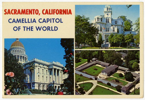 Sacramento, California: Camellia Capitol of the World