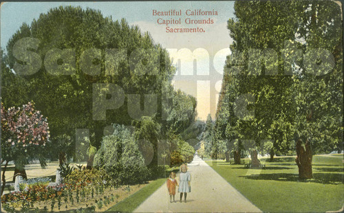 Beautiful California Capitol Grounds, Sacramento