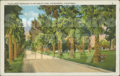 Palm Lined Entrance to McKinley Park