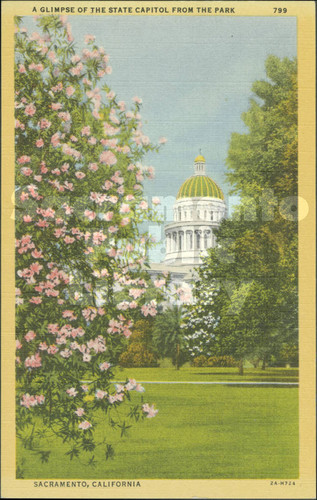 A Glimpse of the State Capitol from the Park