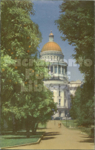 State Capitol, Sacramento, Cal. - Tree in foreground, Blank Back