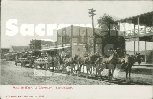 Hauling Wheat in California, Sacramento