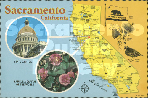 Sacramento, California - State Capitol, Camellia Capital of the World