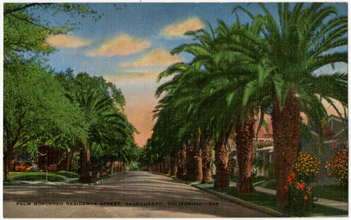 Palm Bordered Residence Street, Sacramento, California