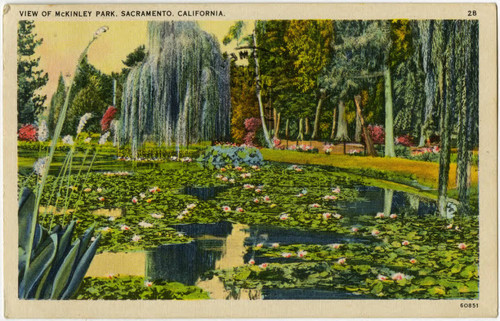 View of McKinley Park, Sacramento, California