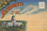 Sacramento California: The City of Trees