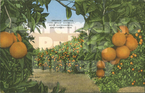 Orange Grove, Fair Oaks Districts, Near Sacramento, CA