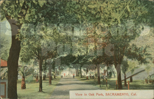 View in Oak Park, Sacramento, Cal