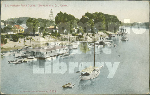 Sacramento River Scene, California