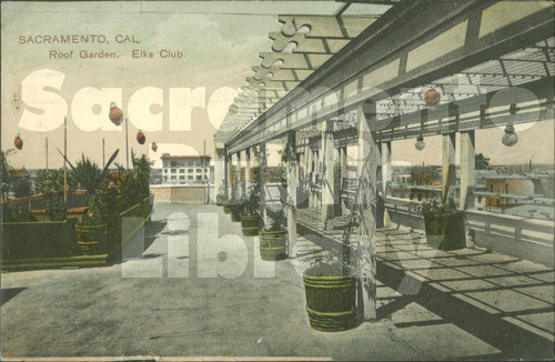 Roof Garden, Elks Club, Sacramento, Cal