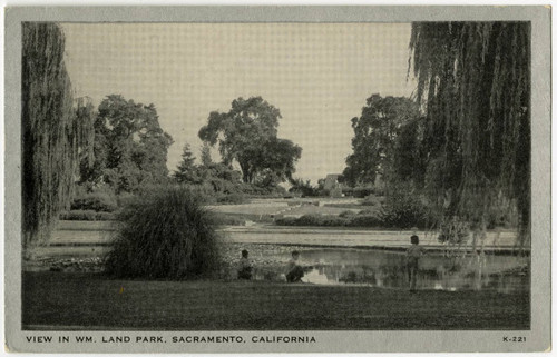 View in Wm. Land Park, Sacramento, California