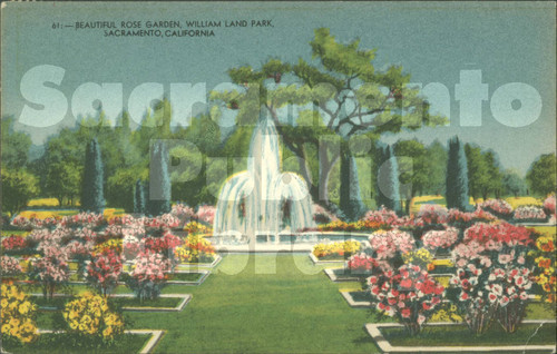 Beautiful Rose Garden, William Land Park, Sacramento, California