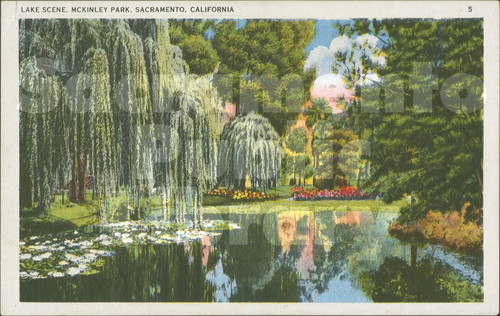 Lake Scene, McKinley Park, Sacramento, California